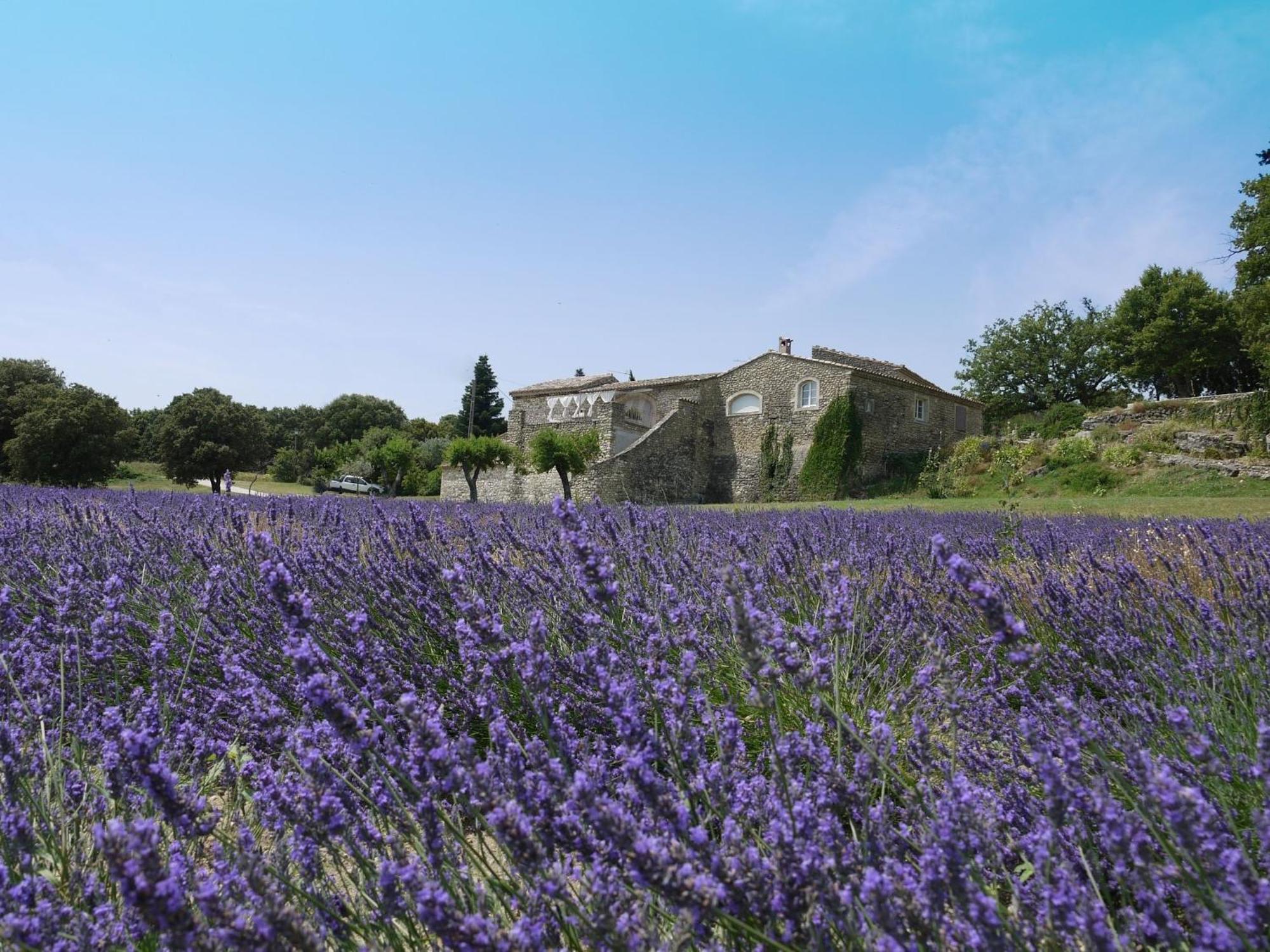 La Ferme Les Eybrachas Réauville Exterior foto
